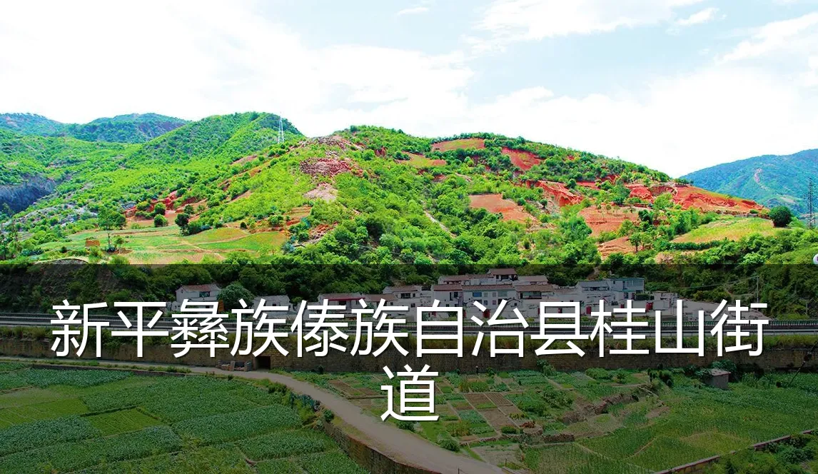 新平彝族傣族自治县桂山街道