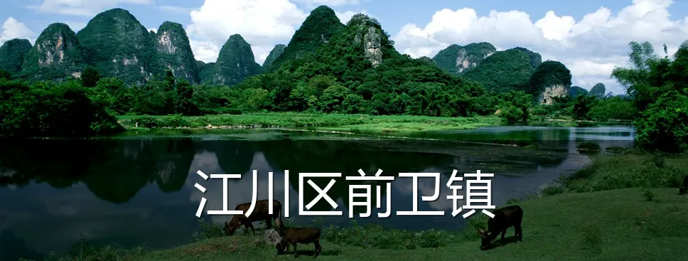 江川区前卫镇
