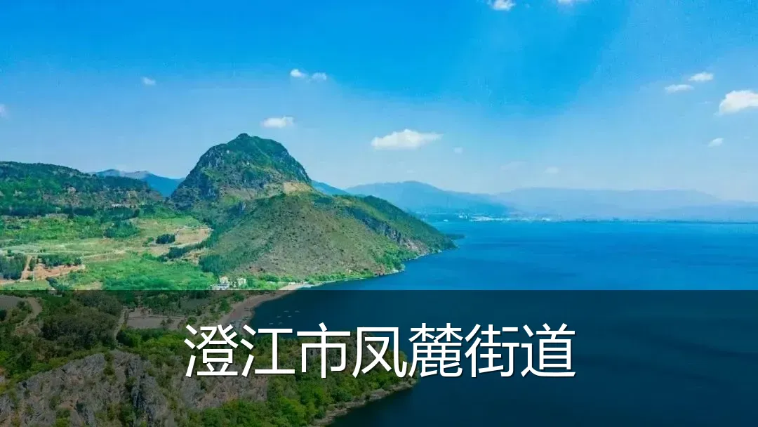 澄江市凤麓街道