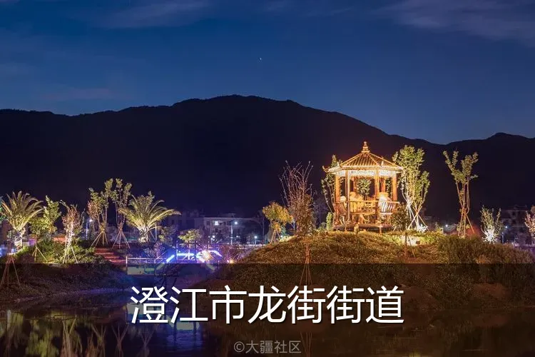 澄江市龙街街道