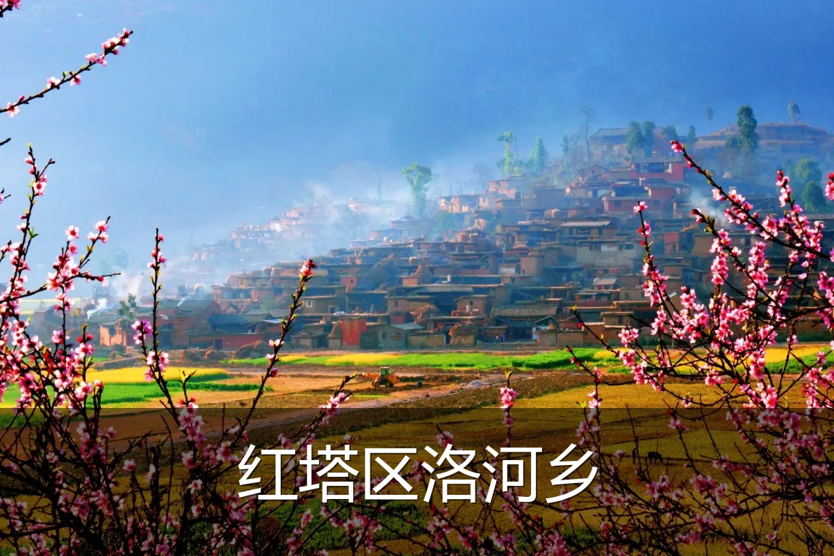 红塔区洛河乡