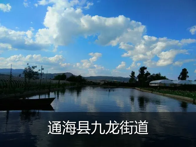 通海县九龙街道