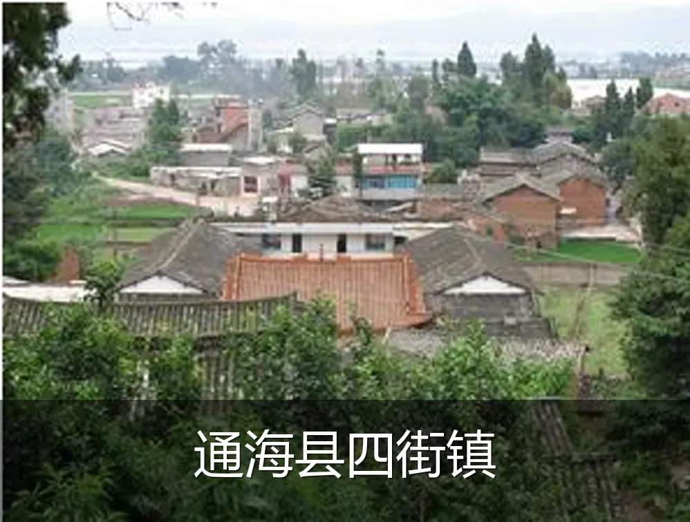 通海县四街镇